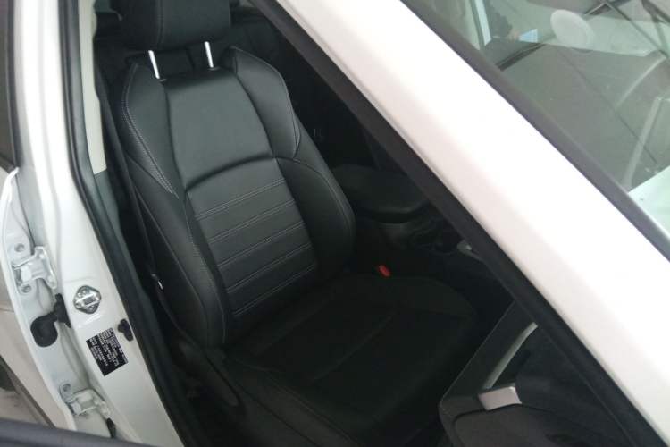 Used Toyota Wildlander 2020 2.0L CVT Two-Wheel Drive Luxury Edition Right Front Seat