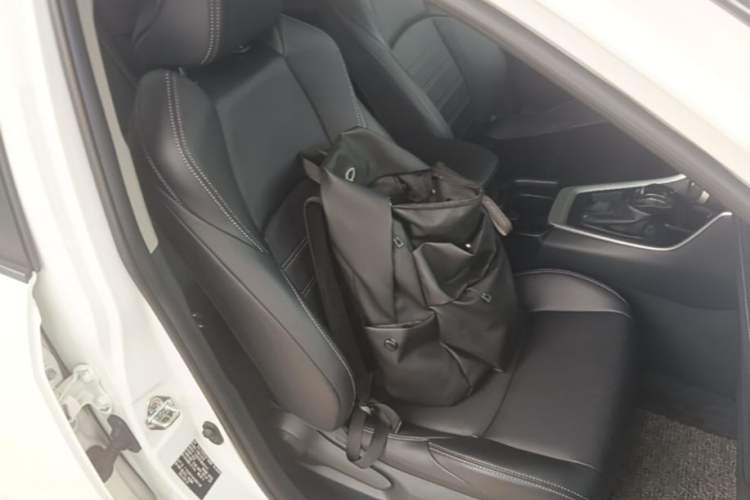 Used Toyota Wildlander 2020 2.0L CVT Two-Wheel Drive Luxury Edition Right Front Seat