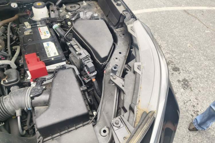 Used Toyota Wildlander 2021 2.0L CVT Two-Wheel Drive Luxury Edition Engine Bay Left