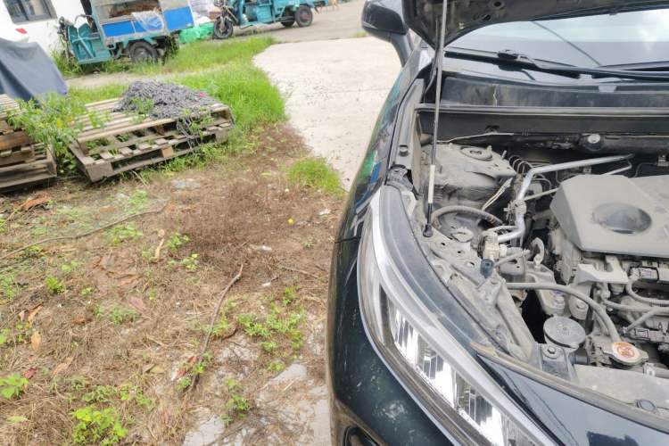 Used Toyota Wildlander 2021 2.0L CVT Two-Wheel Drive Luxury Edition Engine Bay Right
