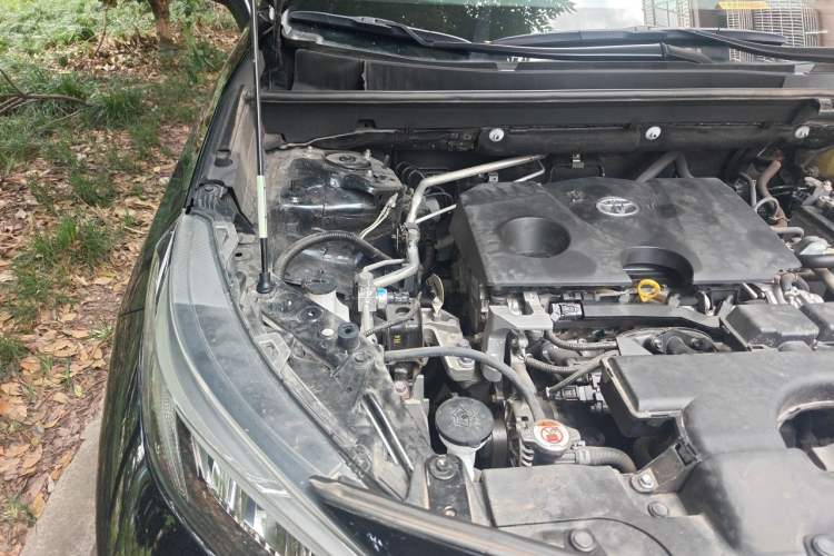 Used Toyota Wildlander 2021 2.0L CVT Two-Wheel Drive Luxury Edition Engine Bay Right