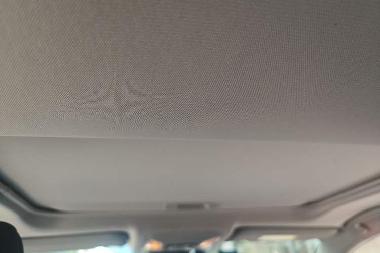 Used Toyota Wildlander 2021 2.0L CVT 4x4 Luxury Edition Headliner