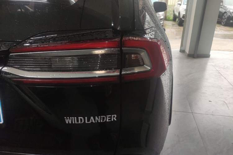 Used Toyota Wildlander 2021 2.0L CVT Two-Wheel Drive Luxury Edition Right Rear Taillight