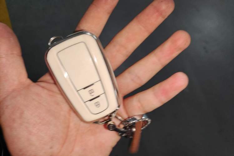 Used Toyota Wildlander 2021 2.0L CVT Two-Wheel Drive Luxury Edition Vehicle Key