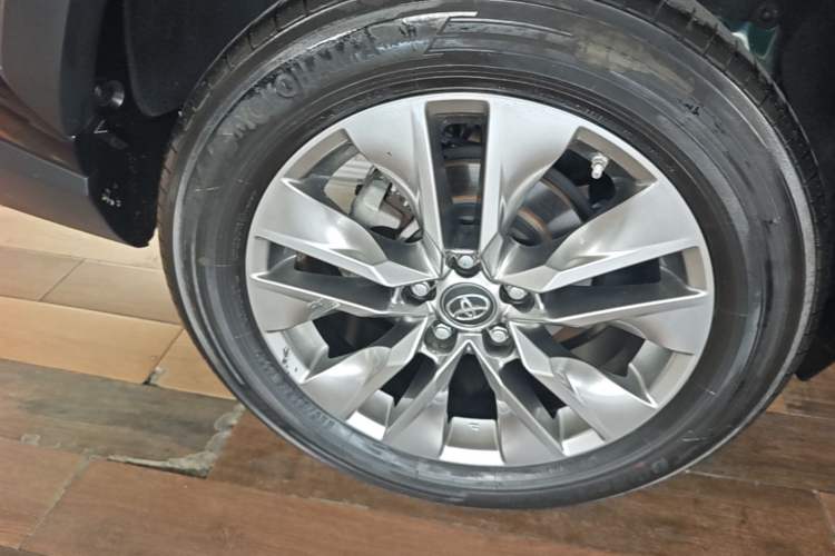 Used Toyota Wildlander 2021 2.0L CVT Two-Wheel Drive Luxury Edition Exterior 5
