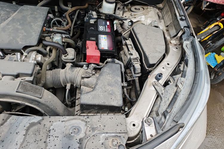 Used Toyota Wildlander 2021 2.0L CVT Two-Wheel Drive Luxury Edition Engine Bay Left
