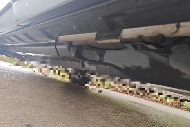 Used Toyota Wildlander 2021 2.0L CVT Two-Wheel Drive Luxury Edition Chassis Rear Left