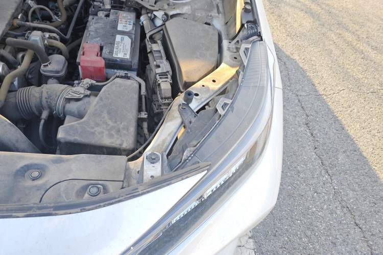 Used Toyota Wildlander 2021 2.0L CVT Two-Wheel Drive Luxury Edition Engine Bay Left