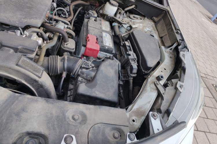 Used Toyota Wildlander 2021 2.0L CVT Two-Wheel Drive Luxury Edition Engine Bay Left