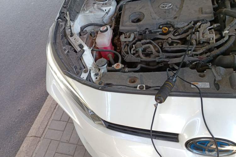 Used Toyota Wildlander 2021 Dual-Motor 2.5L E-CVT Four-Wheel Drive Luxury Edition Engine Bay Right