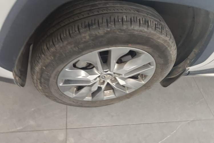 Used Toyota Wildlander 2021 2.0L CVT Two-Wheel Drive Luxury Edition Exterior 4