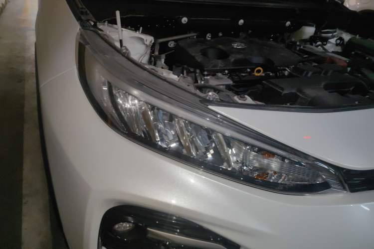 Used Toyota Wildlander 2021 2.0L CVT 4x4 Luxury Edition Exterior 6