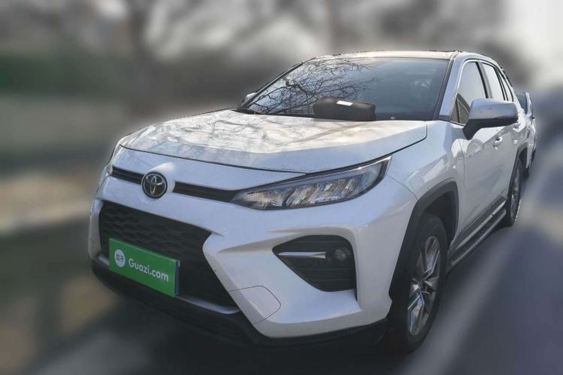 Used Toyota Wildlander 2021 2.0L CVT Two-Wheel Drive Luxury Edition Front Left 45 Deg