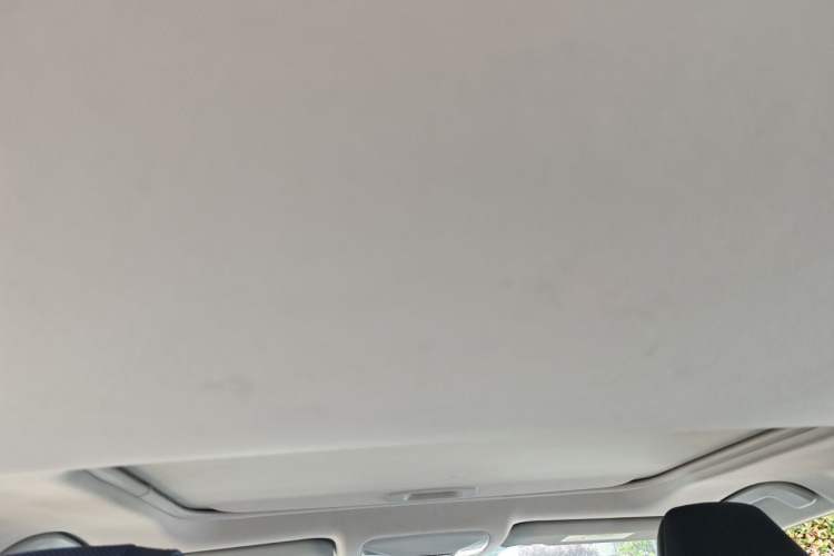 Used Toyota Wildlander 2021 2.0L CVT Two-Wheel Drive Luxury Edition Headliner