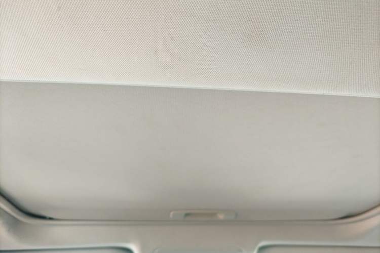 Used Toyota Wildlander 2021 Dual-Motor 2.5L E-CVT Four-Wheel Drive Luxury Edition Headliner