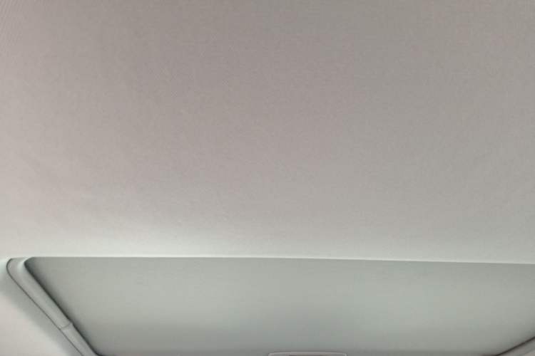 Used Toyota Wildlander 2021 2.0L CVT 4x4 Luxury Edition Headliner