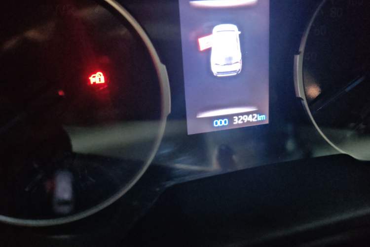 Used Toyota Wildlander 2021 Dual-Motor 2.5L E-CVT Four-Wheel Drive Luxury Edition Odometer Close Up