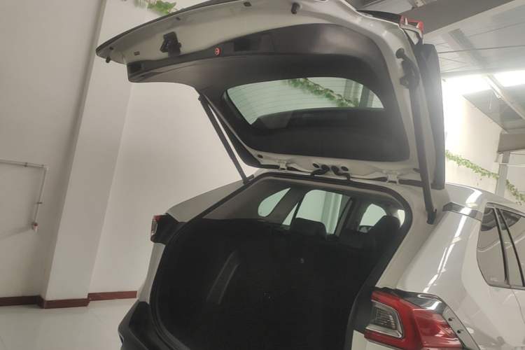 Used Toyota Wildlander 2021 2.0L CVT 4x4 Luxury Edition Trunk