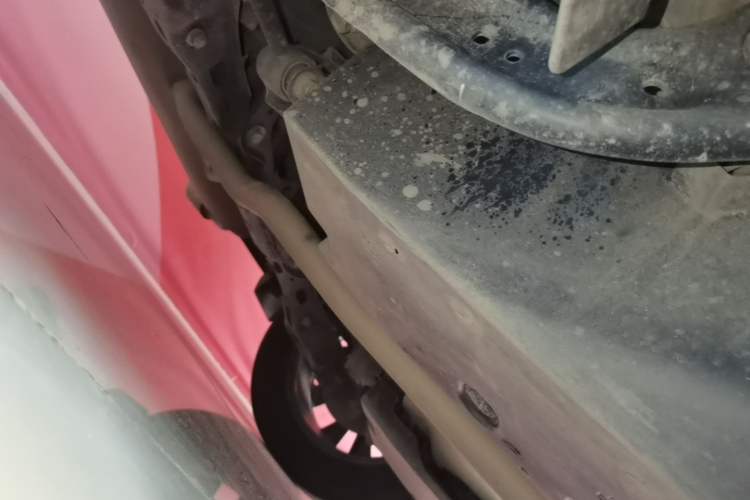 Used Toyota Wildlander 2022 2.0L CVT Two-Wheel Drive Luxury PLUS Edition Chassis Rear Right