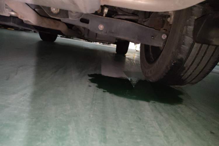 Used Toyota Wildlander 2022 2.0L CVT Two-Wheel Drive Luxury PLUS Edition Chassis Rear Right