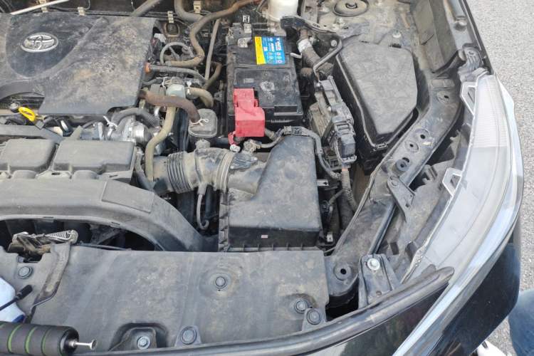 Used Toyota Wildlander 2022 2.0L CVT Two-Wheel Drive Luxury Edition Engine Bay Left