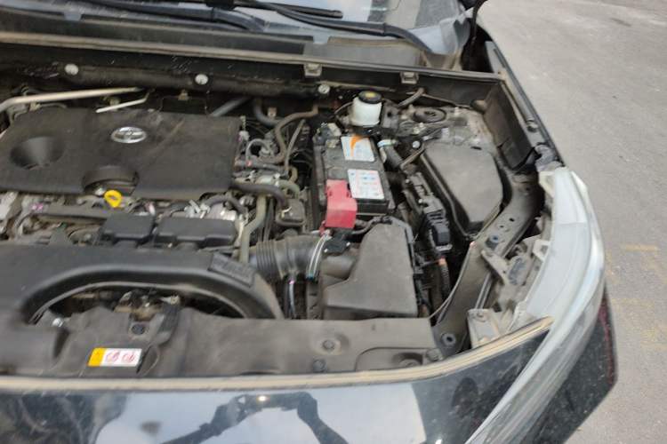 Used Toyota Wildlander 2022 Updated Version 2.0L CVT Two-Wheel Drive Leading Edition Engine Bay Left