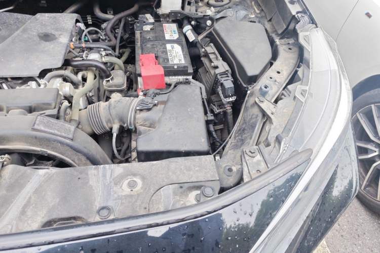 Used Toyota Wildlander 2022 2.0L CVT Two-Wheel Drive Luxury Edition Engine Bay Left