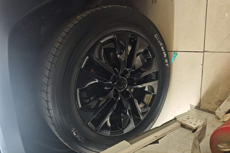 Used Toyota Wildlander 2022 Updated Version 2.0L CVT Two-Wheel Drive Leading Edition Exterior 4