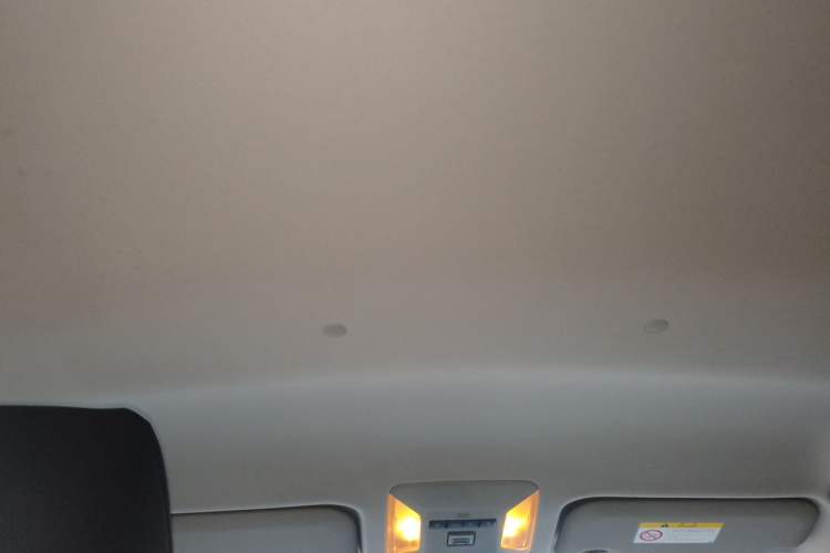 Used Toyota Wildlander 2022 Updated Version 2.0L CVT Two-Wheel Drive Leading Edition Headliner