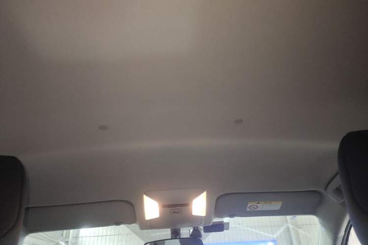 Used Toyota Wildlander 2022 Updated Version 2.0L CVT Two-Wheel Drive Leading Edition Headliner