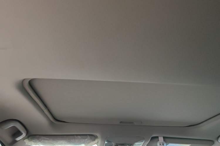 Used Toyota Wildlander 2022 Dual-Engine 2.5L E-CVT Two-Wheel Drive Luxury Edition Headliner