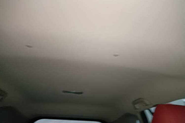 Used Toyota Wildlander 2022 Updated Version 2.0L CVT Two-Wheel Drive Leading Edition Headliner