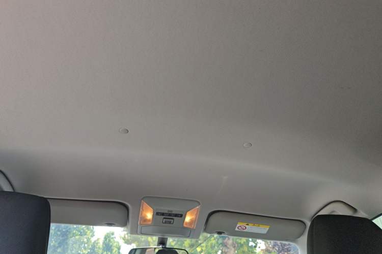 Used Toyota Wildlander 2022 Updated Version 2.0L CVT Two-Wheel Drive Leading Edition Headliner