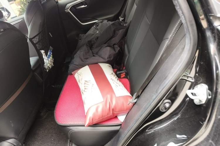 Used Toyota Wildlander 2022 Updated Version 2.0L CVT Two-Wheel Drive Leading Edition Left Rear Seat