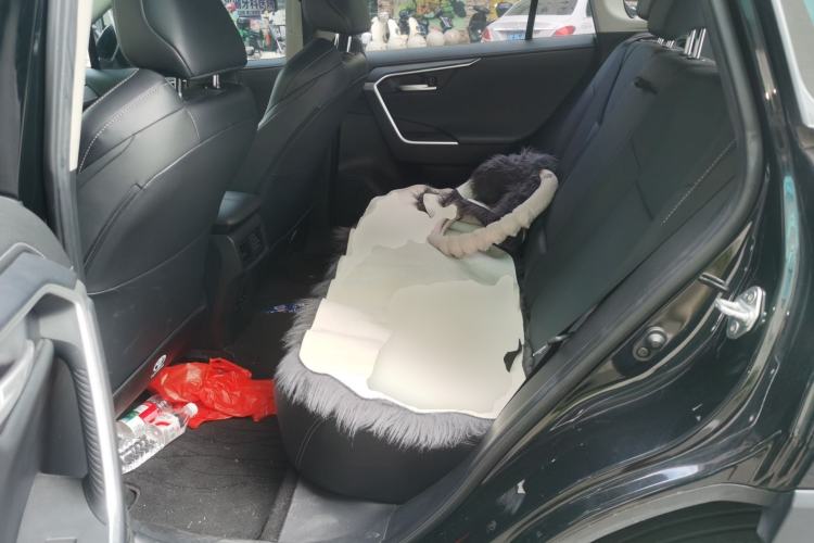 Used Toyota Wildlander 2022 2.0L CVT Two-Wheel Drive Urban Edition Left Rear Seat
