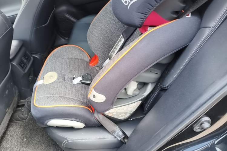 Used Toyota Wildlander 2022 Dual-Engine 2.5L E-CVT Two-Wheel Drive Prestige Edition Left Rear Seat