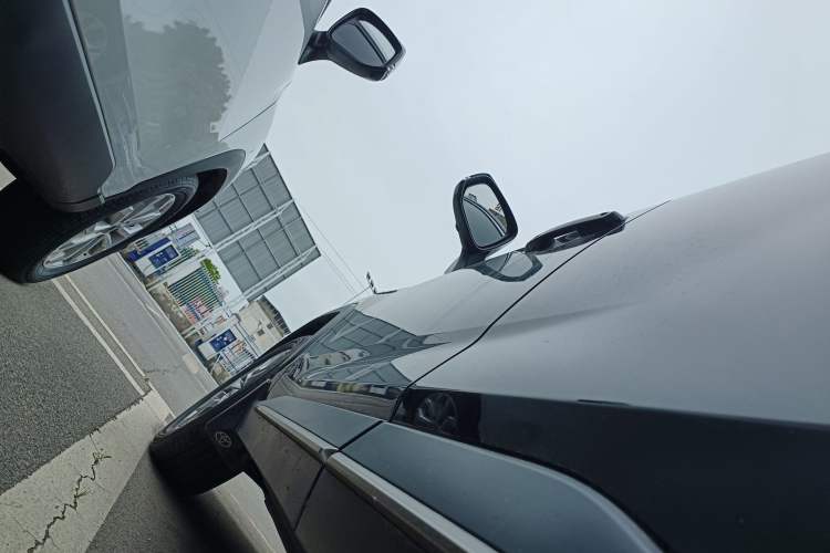 Used Toyota Wildlander 2022 Dual-Engine 2.5L E-CVT Two-Wheel Drive Luxury PLUS Edition Left Side Sill