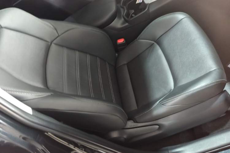 Used Toyota Wildlander 2022 2.0L CVT Two-Wheel Drive Luxury PLUS Edition Right Front Seat