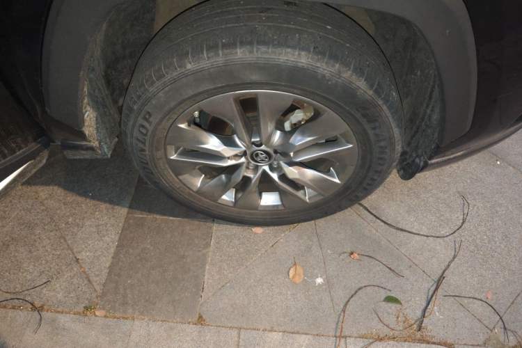 Used Toyota Wildlander 2022 Dual-Engine 2.5L E-CVT Two-Wheel Drive Luxury PLUS Edition Right Front Wheel Hub