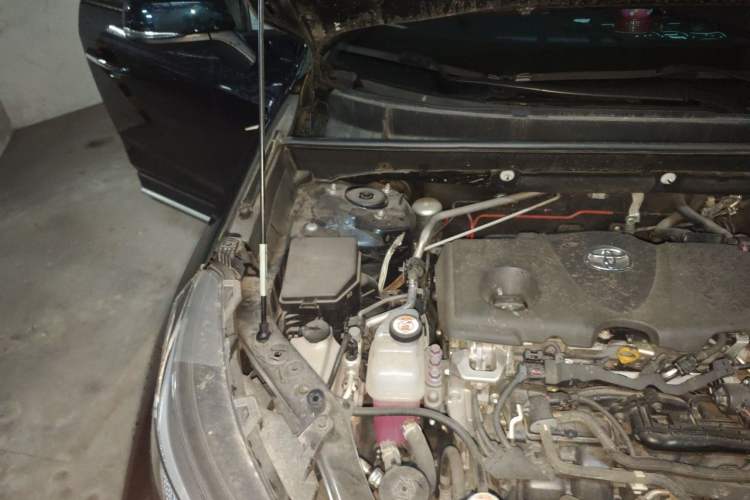 Used Toyota Wildlander 2022 Dual-Engine 2.5L E-CVT Two-Wheel Drive Prestige Edition Engine Bay Right
