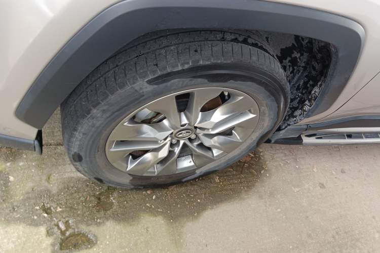 Used Toyota Wildlander 2022 2.0L CVT Two-Wheel Drive Luxury PLUS Edition Exterior 7