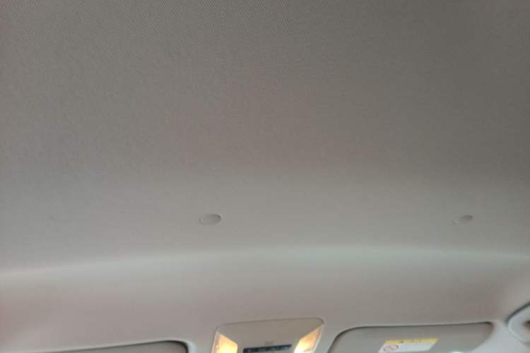 Used Toyota Wildlander 2022 Updated Version 2.0L CVT Two-Wheel Drive Leading Edition Headliner
