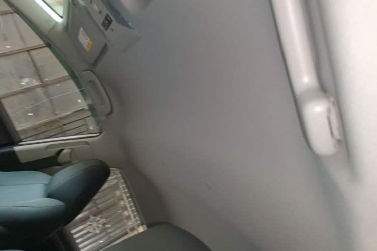Used Toyota Wildlander 2022 Updated Version 2.0L CVT Two-Wheel Drive Leading Edition Headliner
