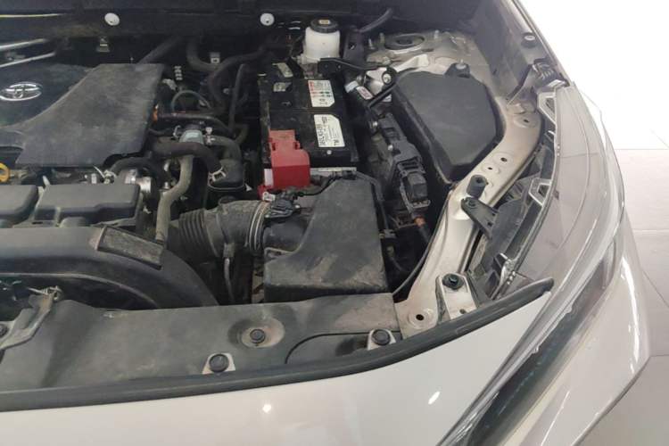 Used Toyota Wildlander 2022 2.0L CVT Four-Wheel Drive Luxury Edition Engine Bay Left