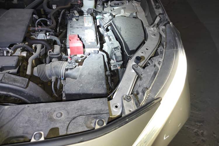 Used Toyota Wildlander 2022 2.0L CVT Two-Wheel Drive Luxury PLUS Edition Engine Bay Left