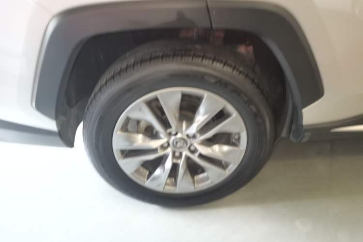 Used Toyota Wildlander 2022 2.0L CVT Two-Wheel Drive Luxury PLUS Edition Exterior 8