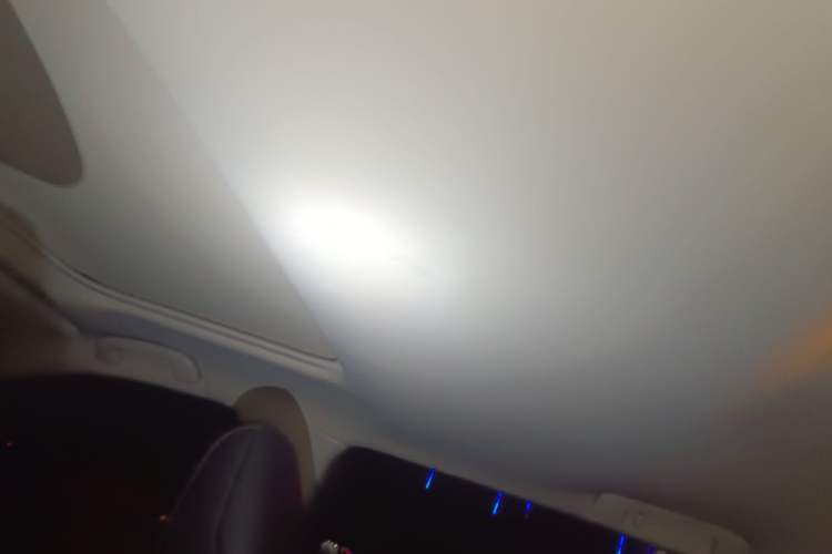 Used Toyota Wildlander 2022 Dual-Motor 2.5L E-CVT 4x4 Luxury PLUS Edition Headliner