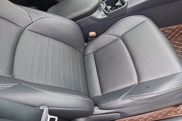 Used Toyota Wildlander 2022 2.0L CVT Two-Wheel Drive Luxury Edition Right Front Seat