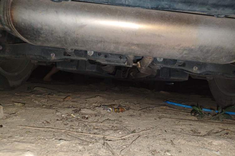 Used Toyota Wildlander 2022 2.0L CVT Two-Wheel Drive Leading Edition Chassis Rear