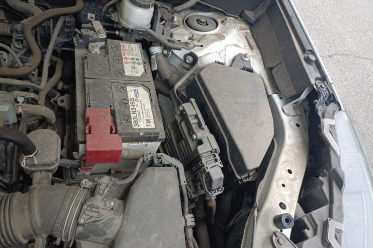 Used Toyota Wildlander 2022 2.0L CVT Two-Wheel Drive Luxury PLUS Edition Engine Bay Left